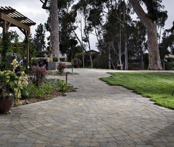 Curved paver walkway through a landscaped yard in North County San Diego by Panjia Outdoors