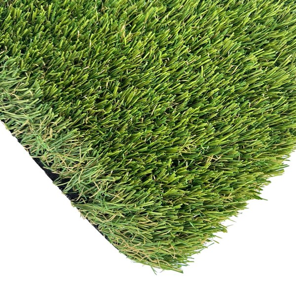 Torrey Pines 90 high-traffic turf texture